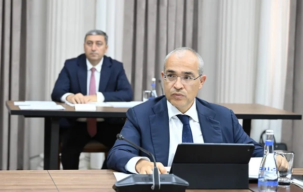 İqtisadi Şuranın növbəti iclası keçirilib