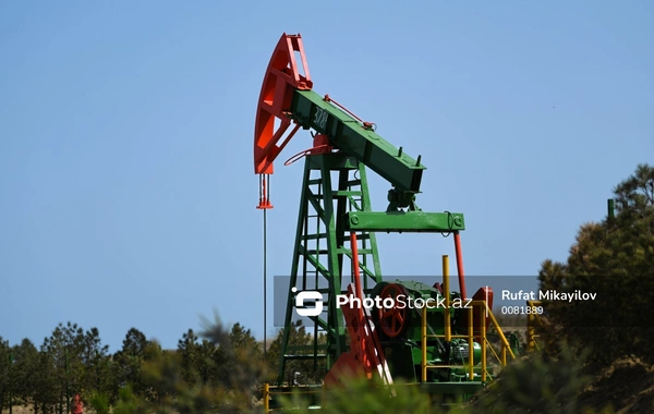 SOCAR ötən il ixrac etdiyi neftin həcmini açıqlayıb