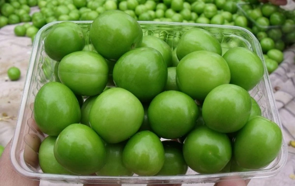 Who should not eat cherry plum?