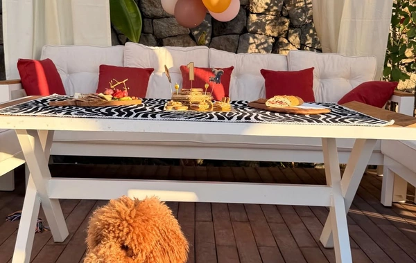 Nəsrin Cavadzadə iti Dolceyə ad günü keçirdi