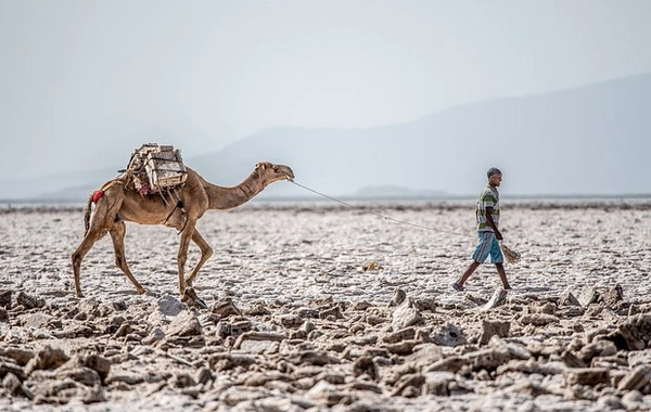 Şərqi Afrika yeni qitəyə çevriləcək - Alimlərdən XƏBƏRDARLIQ