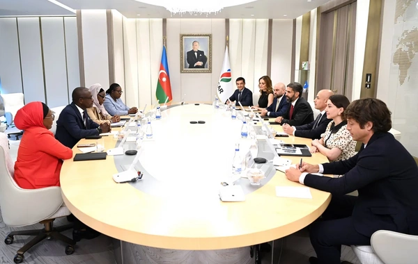 SOCAR Baleine yatağında görülən işləri nəzərdən keçirib
