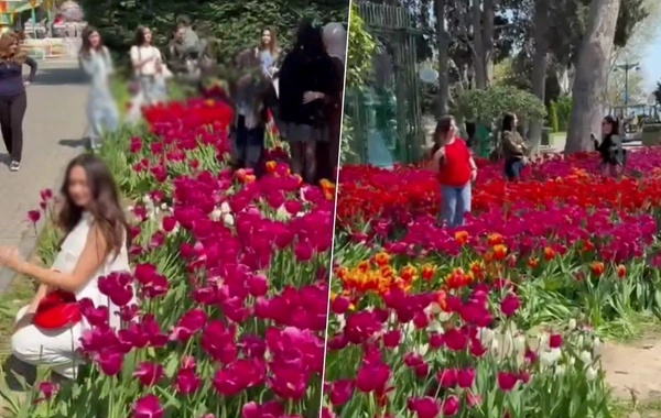 Bulvarda gülləri əzən 10 nəfər polisə çağırıldı