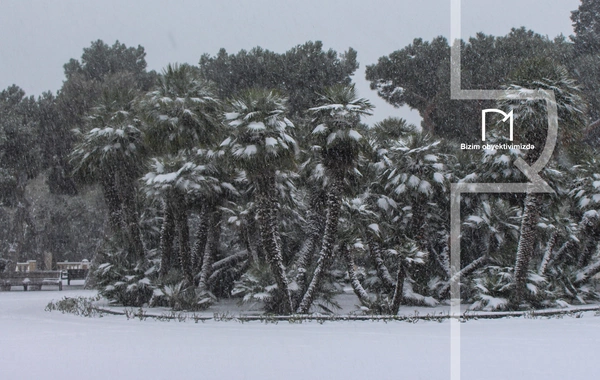 Azərbaycanda çovğun müşahidə olunur