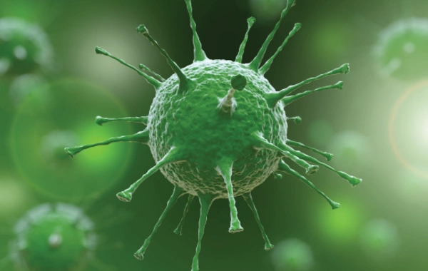 Koronovirus yenidən YAYILIB? - infeksionist AÇIQLADI