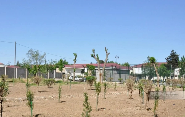 Biləsuvarda yeni park salınıb