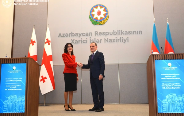 Gürcüstan XİN rəhbəri Ceyhun Bayramova zəng edib