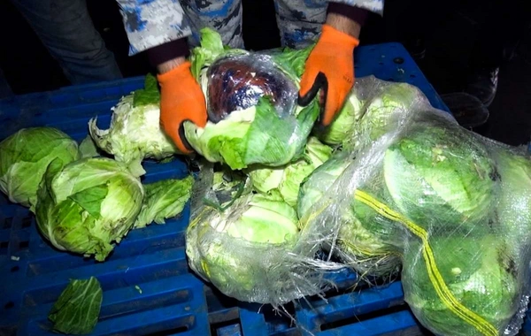 Kələm yükündən narkotik tapılıb