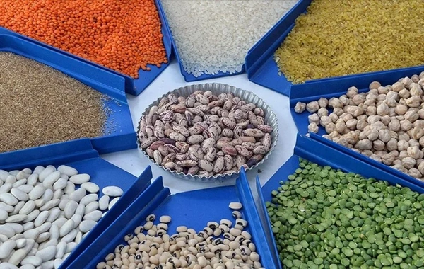 Azərbaycan Türkiyədən taxıl və paxlalı idxalına çəkdiyi xərci 20 %-ə yaxın artırıb