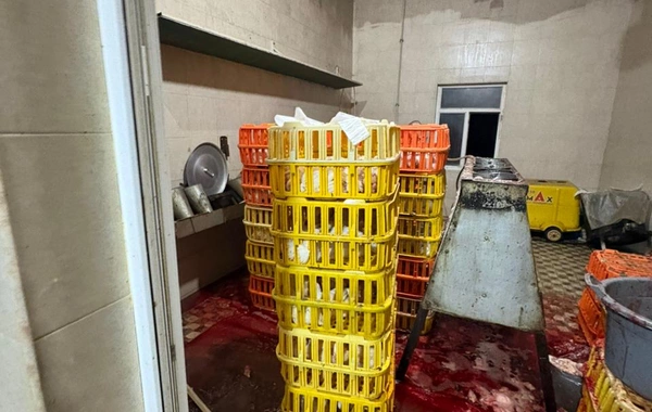 Lənkəranda toyuq kəsimi sexinin qanunsuz fəaliyyəti aşkarlandı