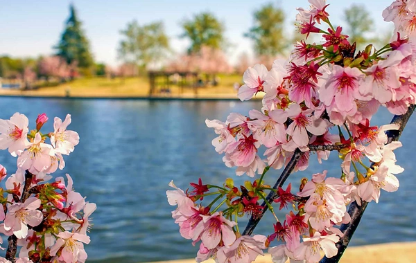 Aprel ayına olan hava proqnozu açıqlanıb