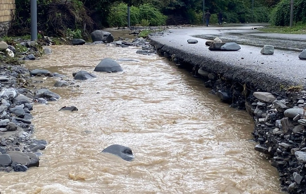 Zaqatalada sakinləri SEVİNDİRƏCƏK XƏBƏR