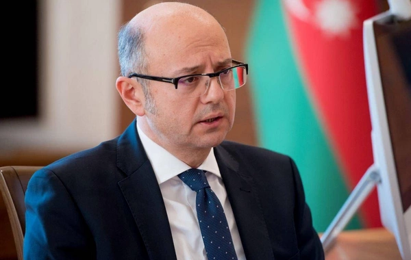 Pərviz Şahbazov: TAP indiyədək İtaliyanı 49,5 milyard kubmetr qazla təmin edib