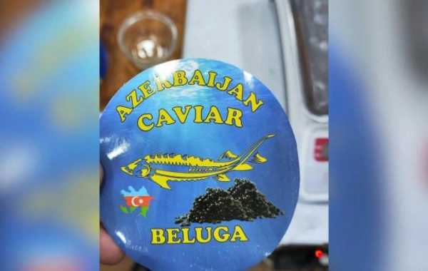 AQTA Çin və Rusiyadan gətirilən kürülərin saxta qablaşdırıldığını aşkarlayıb