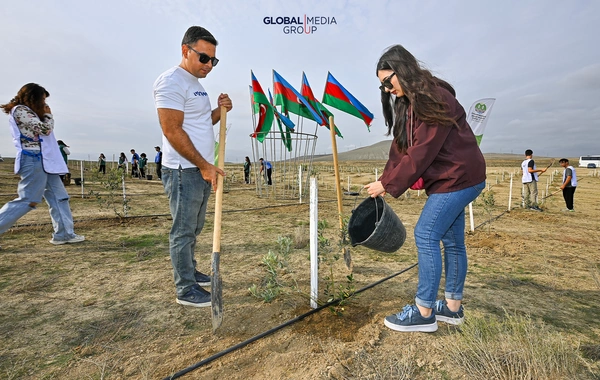 "Global Media Group"un təşəbbüsü ilə növbəti ağacəkmə aksiyası keçirilib