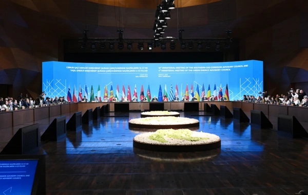 Leyla Əliyeva "Yaşıl enerji layihələri" sessiyasında çıxış edib