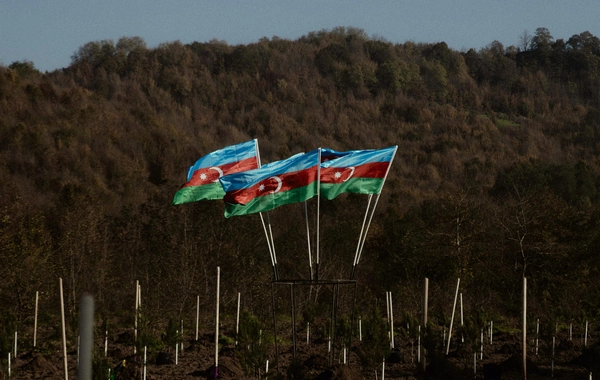 Leyla Əliyeva, Arzu Əliyeva və Alena Əliyeva Lənkəranda ekoloji aksiyalarda iştirak ediblər