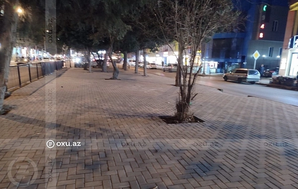 Əhmədlidə üç il əvvəl tikintiyə icazə verilməyən ərazidə AĞACLAR QIRILDI, yerinə daş döşəndi - Sakin ŞİKAYƏTİ