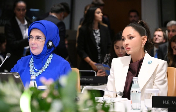Mehriban Aliyeva participated in a special session within the framework of the UN General Assembly