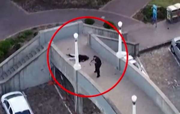 Sidneydə törədilən terroru ata və oğul həyata keçirib