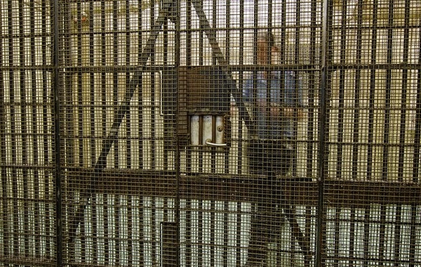 ABŞ-də iranlı qadın silah alveri ittihamı ilə saxlanılıb