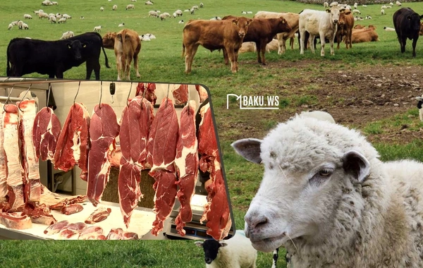 Azərbaycanda ətin qiyməti ucuzlaşa bilər? - VACİB AÇIQLAMA