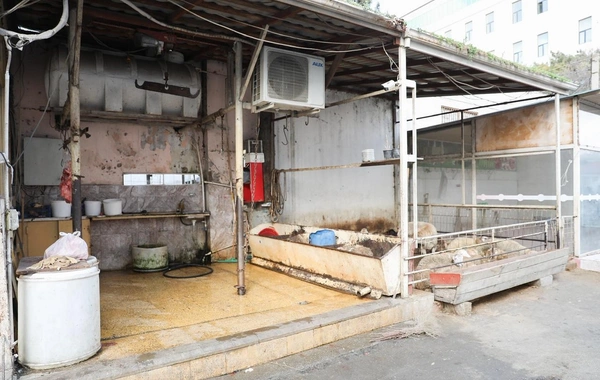 Соленья и молочная продукция неизвестного происхождения: нарушения на бакинском рынке