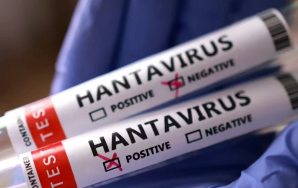 Hande Harmancı hantavirusun Azərbaycanda yayılma riskindən DANIŞDI