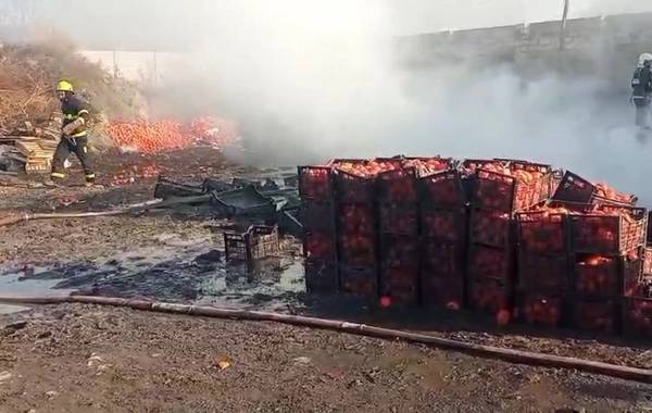 Zaqatalada xurma istehsalı sexində yanğın baş verib