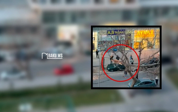 Bakıda quru ağac budağı maşınların üzərinə düşdü