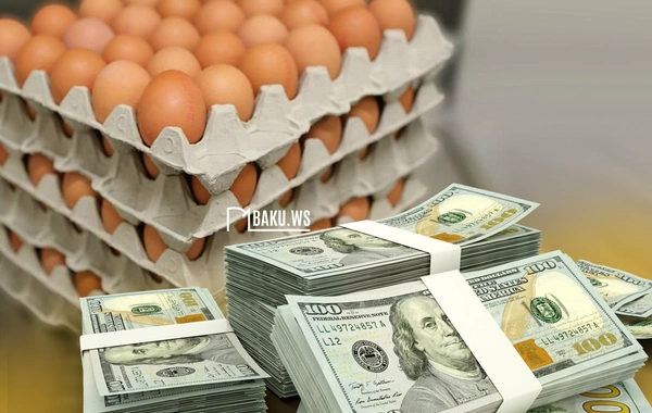 Azərbaycan xarici ölkələrə yumurtanı neçəyə satır?