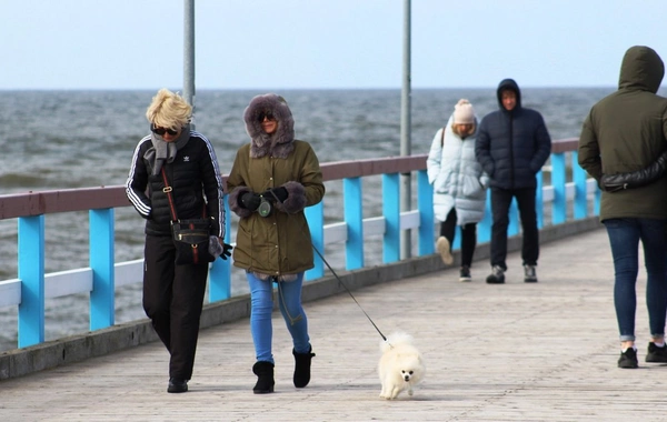 Tez düşün, tez qərar ver... - İnsanlar hara tələsir?