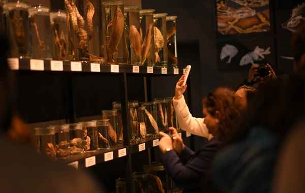 DTA tabeliyindəki qoruq və müəssisələrdəki yeniliklər təqdim olunub DTA tabeliyindəki qoruq və müəssisələrdəki yeniliklər təqdim olunub