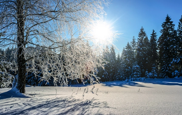 Ölkəyə yağan qarın ərazi üzrə hündürlüyü bilindi