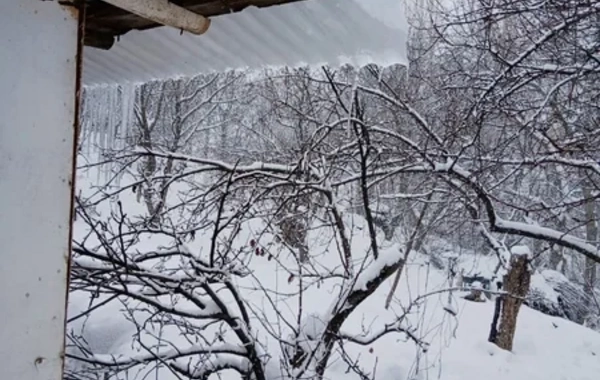 Naxçıvanda qar örtüyünün hündürlüyü 54 santimetrə çatıb