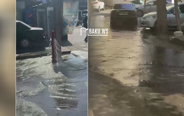 Vətəndaşlar su hidrantını açıq saxladı, küçəni su basdı - Problem aradan qaldırıldı