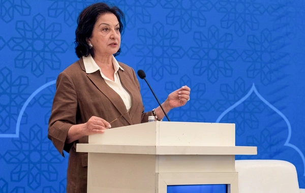 Gülçöhrə Məmmədova: Xüsusi diqqət işğaldan azad edilmiş Qarabağ və Şərqi Zəngəzur ərazilərinə yönəldilir