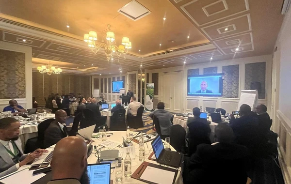 COP29 çərçivəsində Toqo və Keniyada seminarlar keçirilib