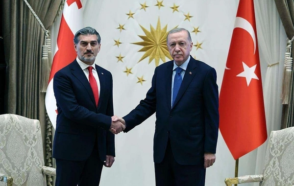 Türkiyə və Gürcüstan prezidentləri təyyarə qəzası ilə bağlı son durumu müzakirə ediblər