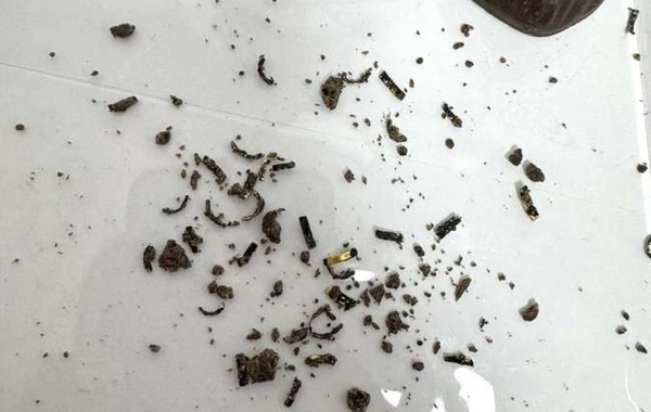 Şokoladların içərisində qızıl aşkar olundu
