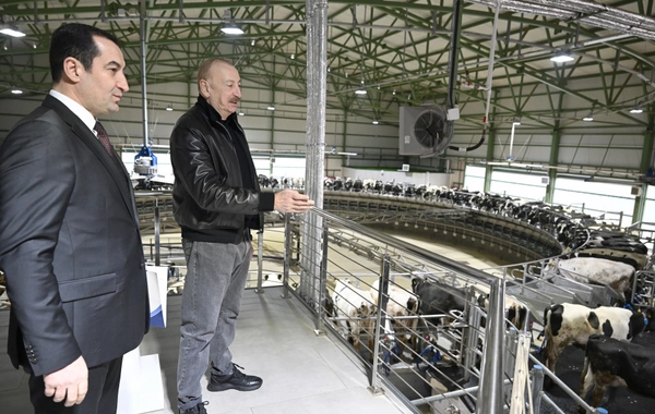 Prezident İlham Əliyev Şamaxıda "Şirvan Aqro" heyvandarlıq kompleksinin açılışında iştirak edib