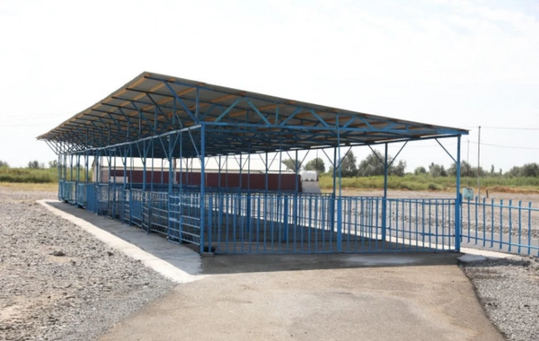 Ağdaş heyvan satışı bazarı fəaliyyətə başlayıb