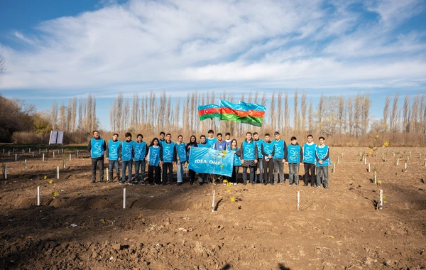 İDEA Sabirabad və Cəlilabad rayonlarında kütləvi ağacəkmə aksiyaları təşkil edib