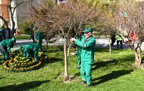 Bakıda yaz mövsümü ilə əlaqədar genişmiqyaslı daxili iməcilik keçirilib