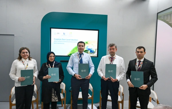 COP30-da Xəzər dənizinin səviyyəsinin azalmasına həsr olunmuş yüksəksəviyyəli tədbir keçirilib