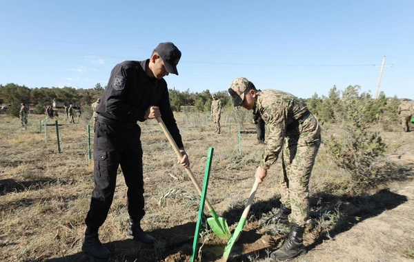 8 Noyabr - Zəfər Günü ilə əlaqədar DİN-in əməkdaşları növbəti ağacəkmə kampaniyası keçiriblər
