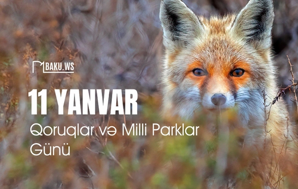 Yanvarın 11-i Dünya Qoruqlar və Milli Parklar Günüdür
