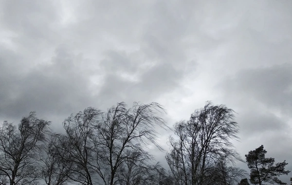 Növbəti iki gündə güclü külək əsəcək - XƏBƏRDARLIQ