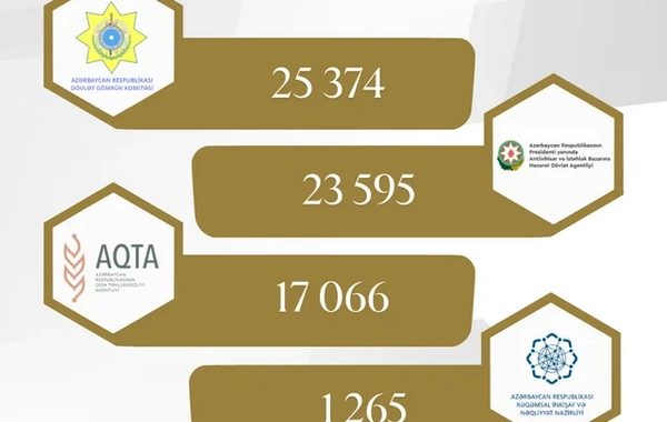 Sahibkarlar 2025-ci ildə daha çox hansı xidmətlərdən istifadə ediblər