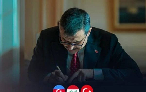 Türkiyə və Azərbaycan daxili işlər nazirləri telefonda danışıb